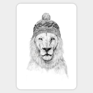 Winter lion (bw) Sticker
